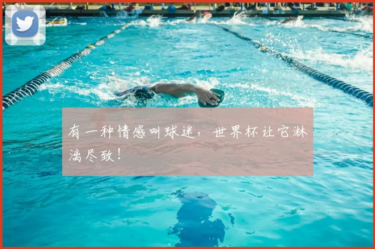 有一种情感叫球迷,世界杯让它淋漓尽致!